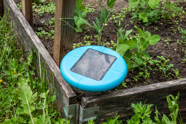 Natural DIY Snake Repellents for Your Backyard