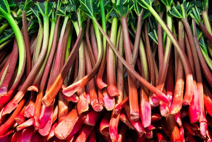 Rhubarb stalks harvested and ready for sale at a farmers market