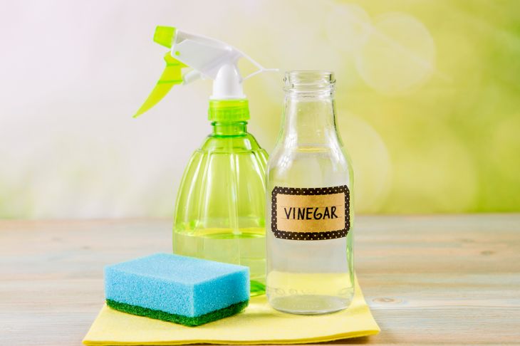 spray bottle, vinegar bottle, and sponge