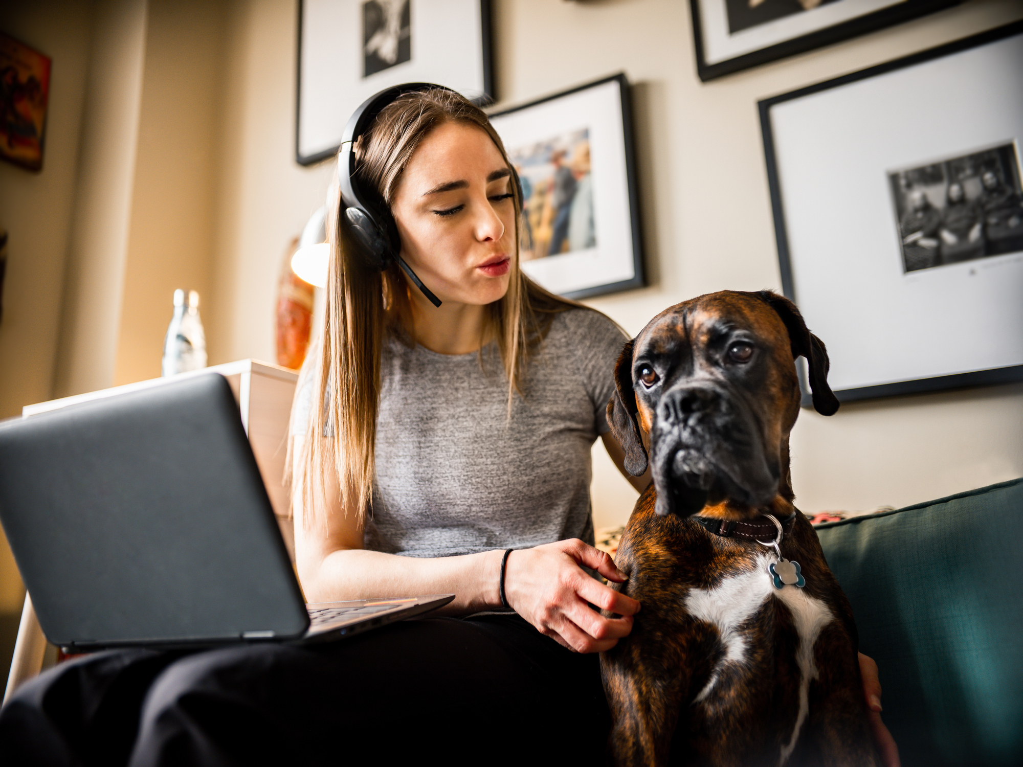 owner sitting beside dog