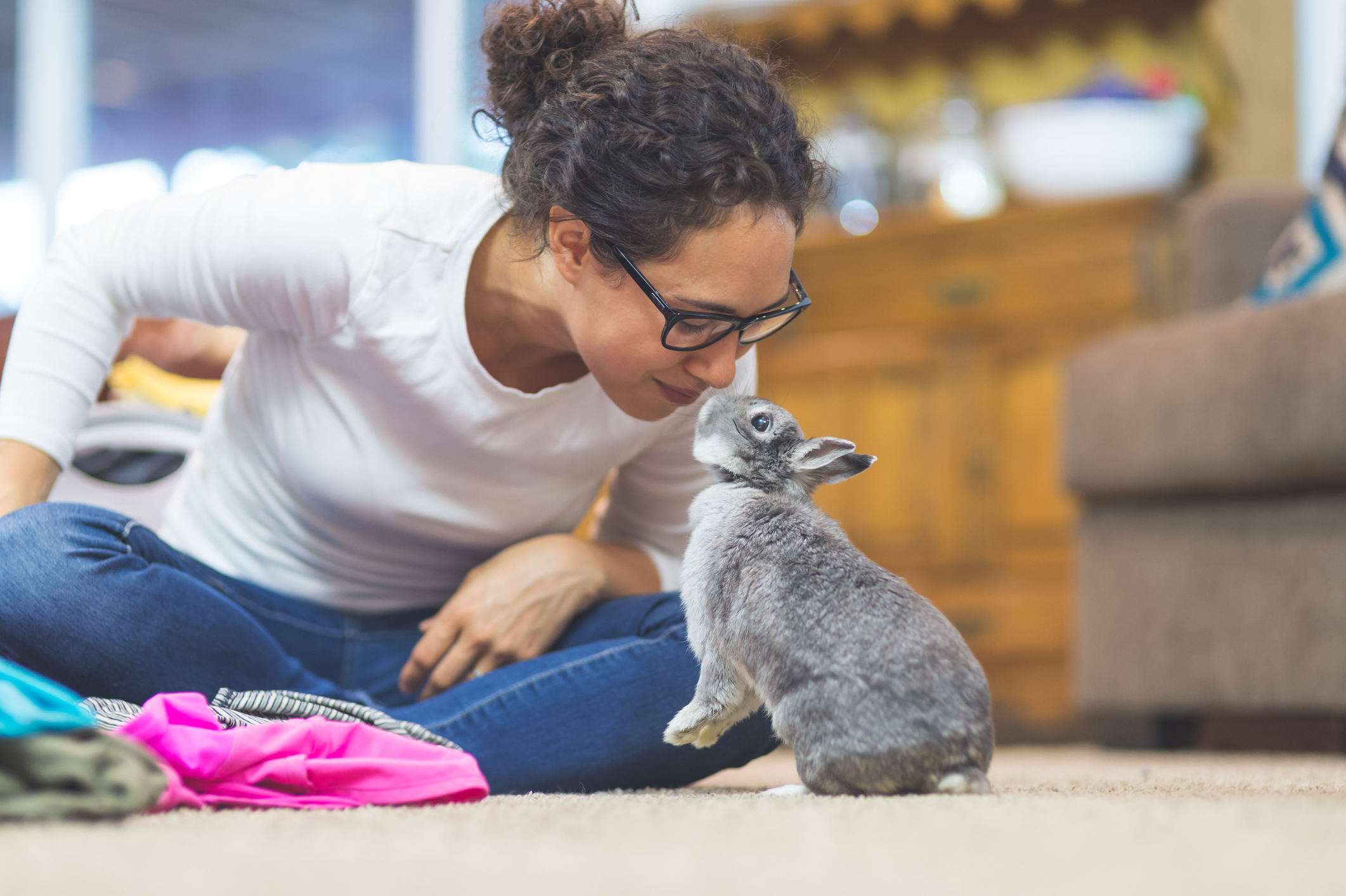 woman folding laundry takes a break to give her pet bunny a kiss