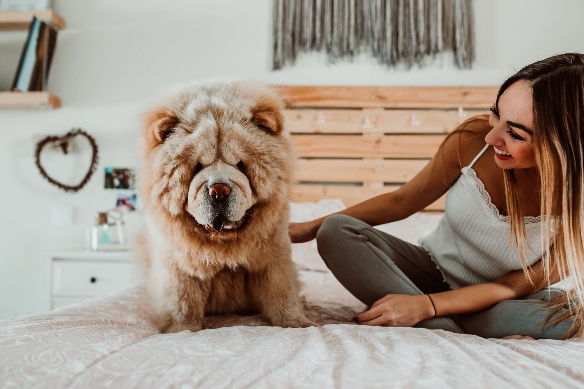 Smiling Young Woman Sitting With Dog On Bed At Home