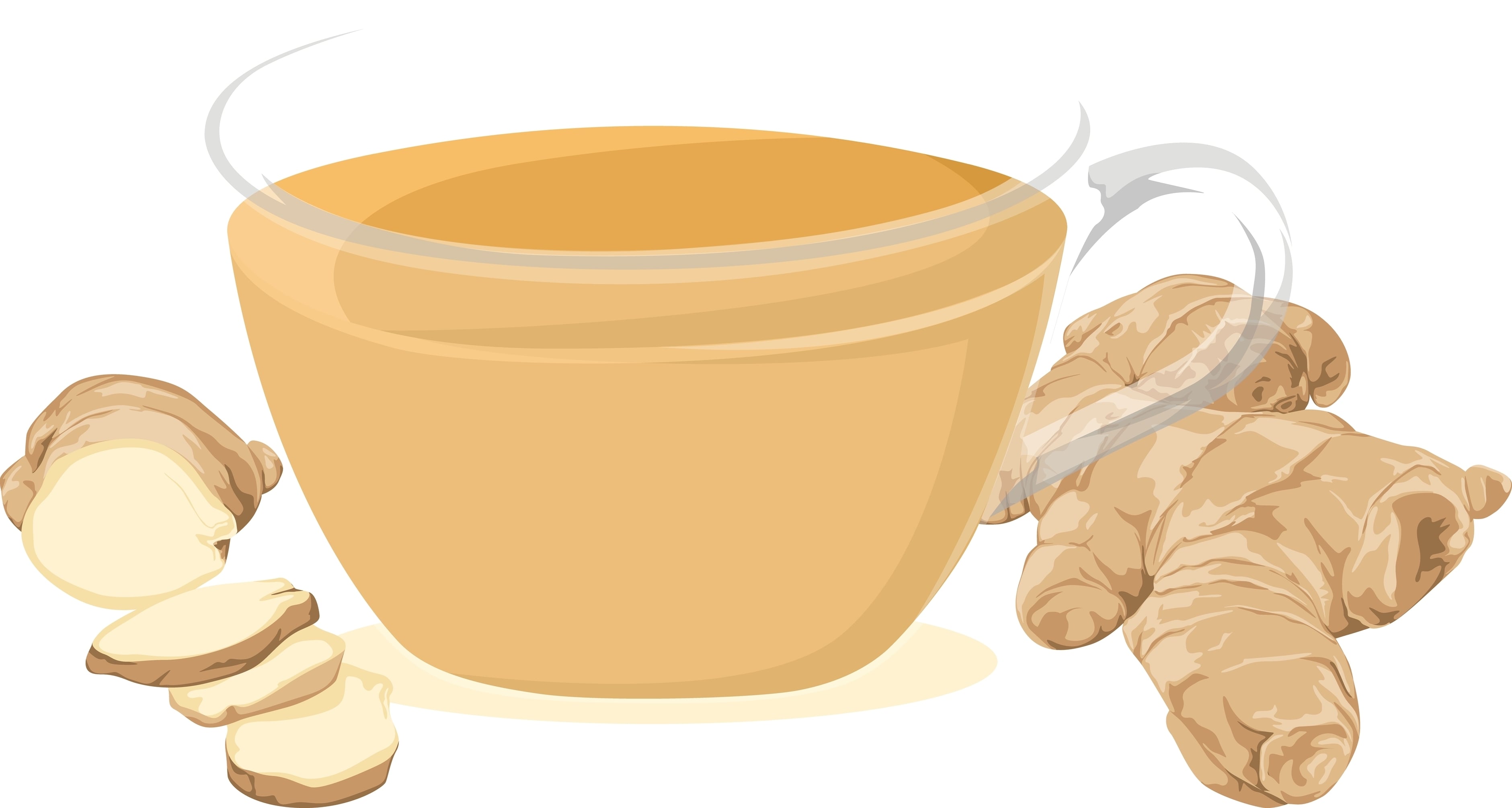 Illustration of a steaming cup of ginger tea with fresh ginger root and slices beside it.