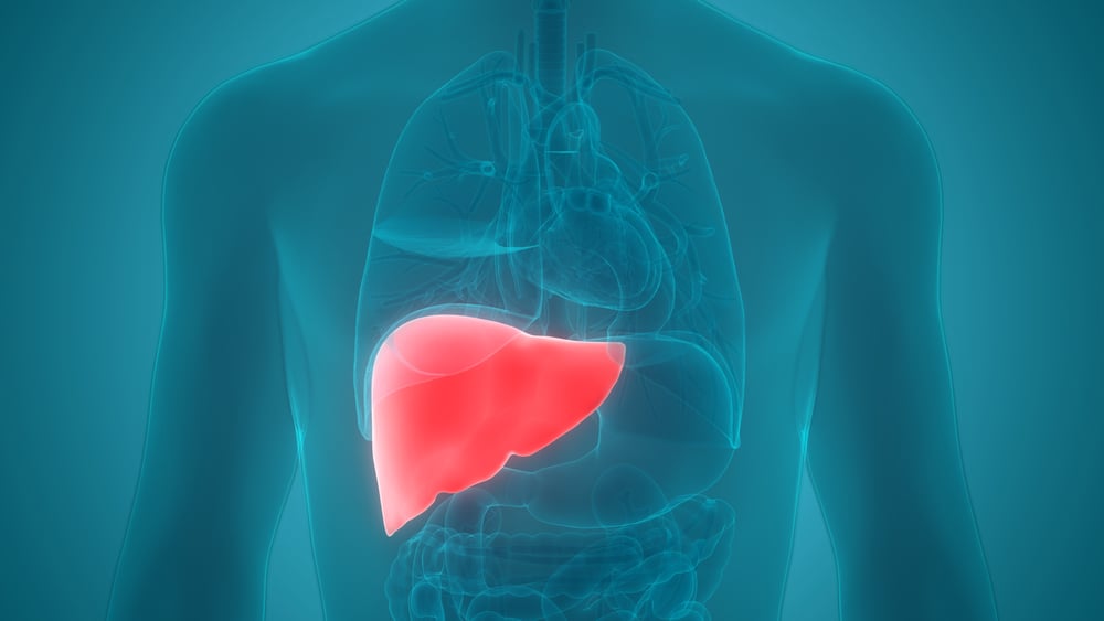 10 Causes of Elevated Liver Enzymes Facty Health
