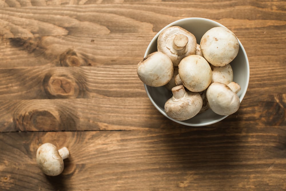 mushroom recipe Vegetarian Recipes