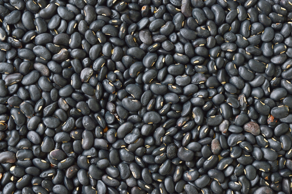 black bean Vegetarian Recipes
