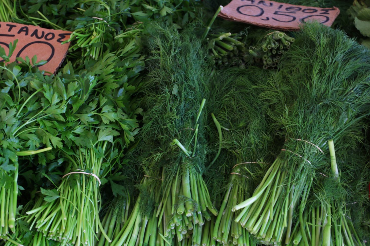 10 Health Benefits of Parsley Facty Health