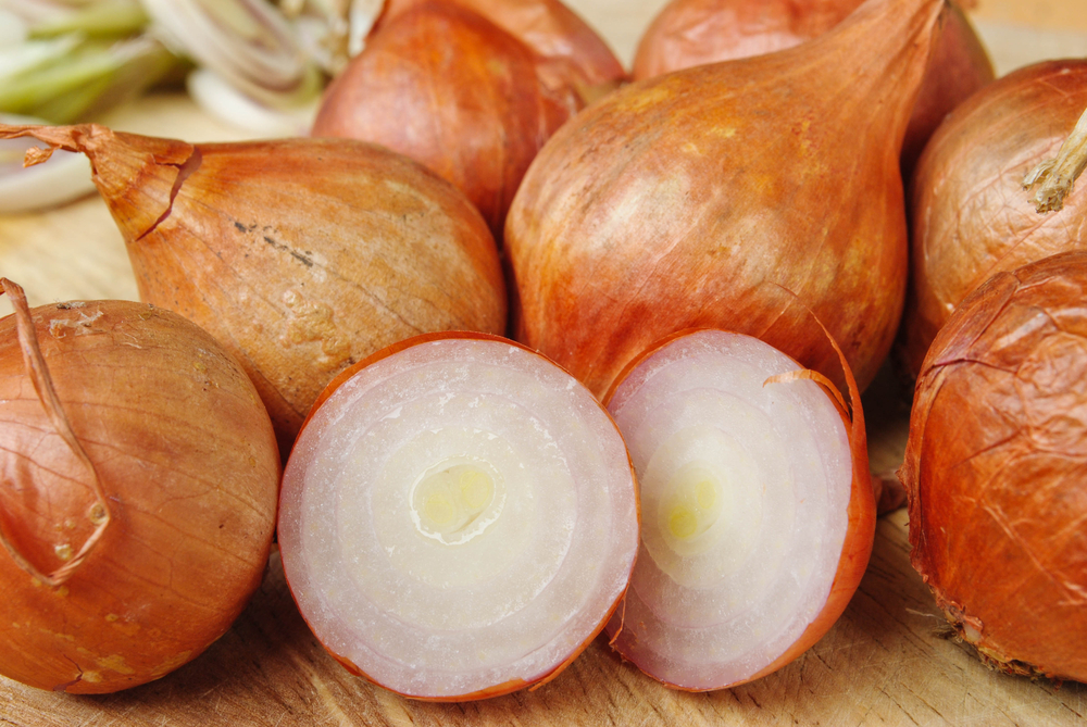 10 Health Benefits of Onions Facty Health