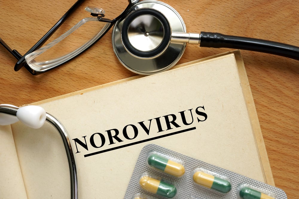 10 Causes and Symptoms of Norovirus Facty Health