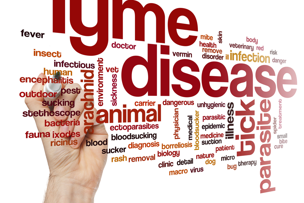 10 Symptoms of Lyme Disease Facty Health