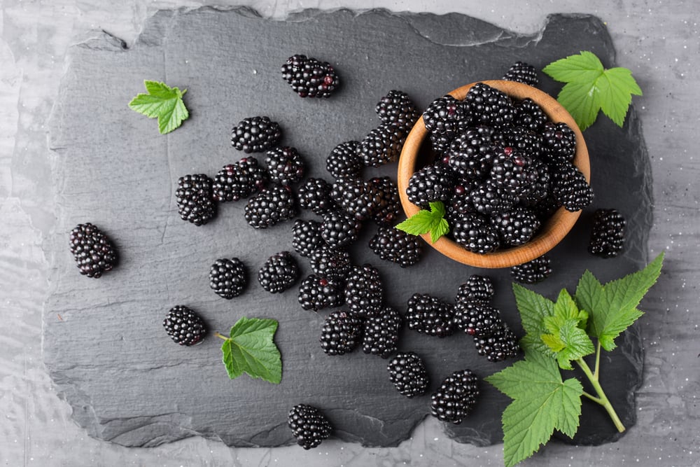 10 Reasons to Eat Blackberries Today Facty Health