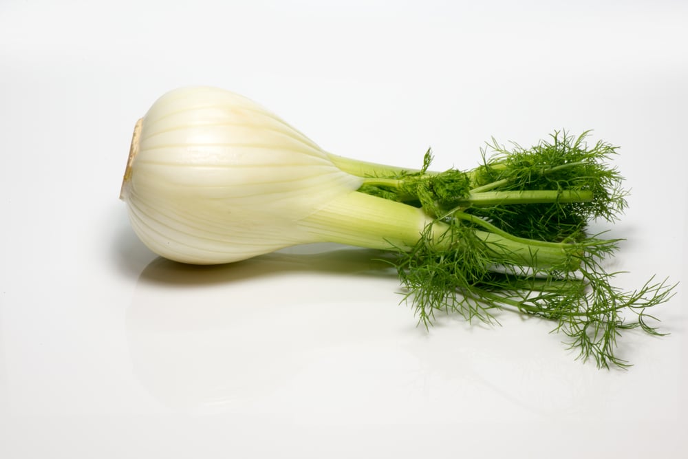 The Amazing Health Benefits of Fennel Facty Health