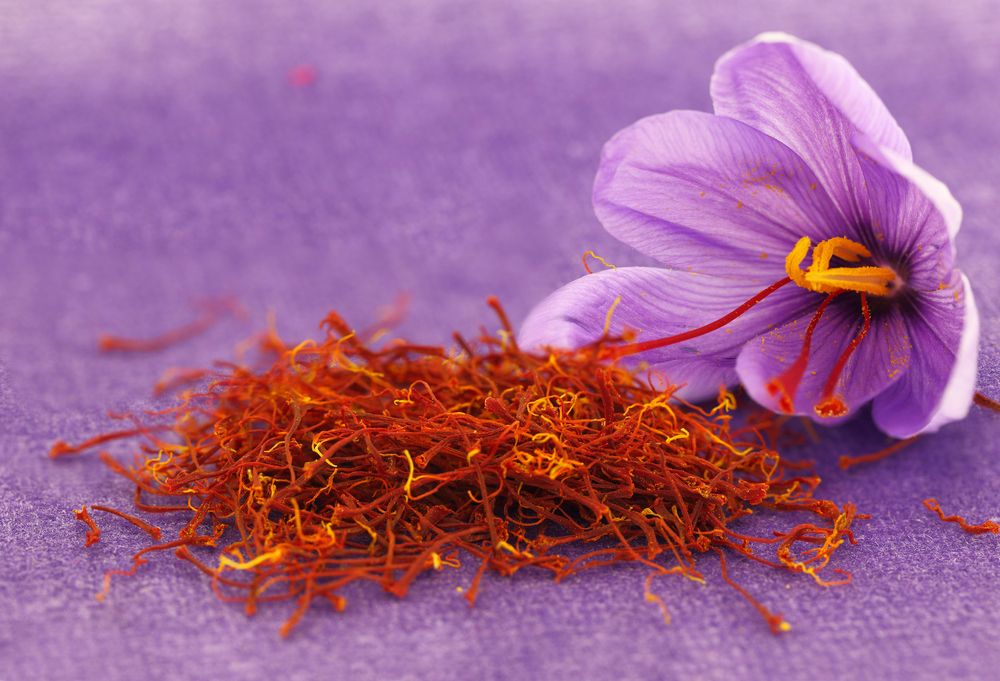 The Golden Spice Saffron and Its Health Benefits Facty Health