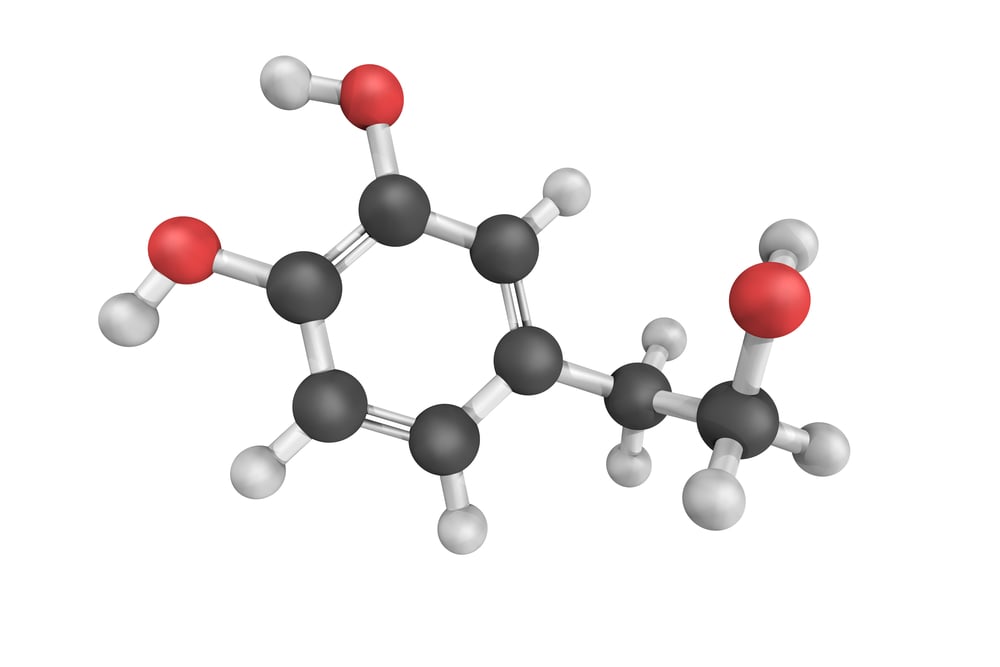 10 Health Benefits of Luscious Watermelon Facty Health