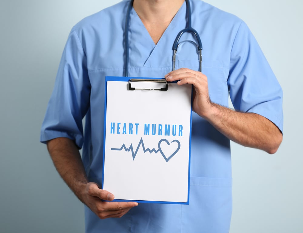 10 Things to Know About Heart Murmurs Facty Health