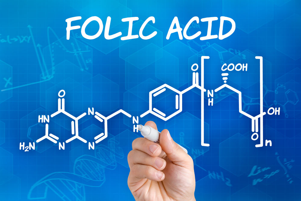 What Is Folic Acid and Why Is It Significant? - Facty Health