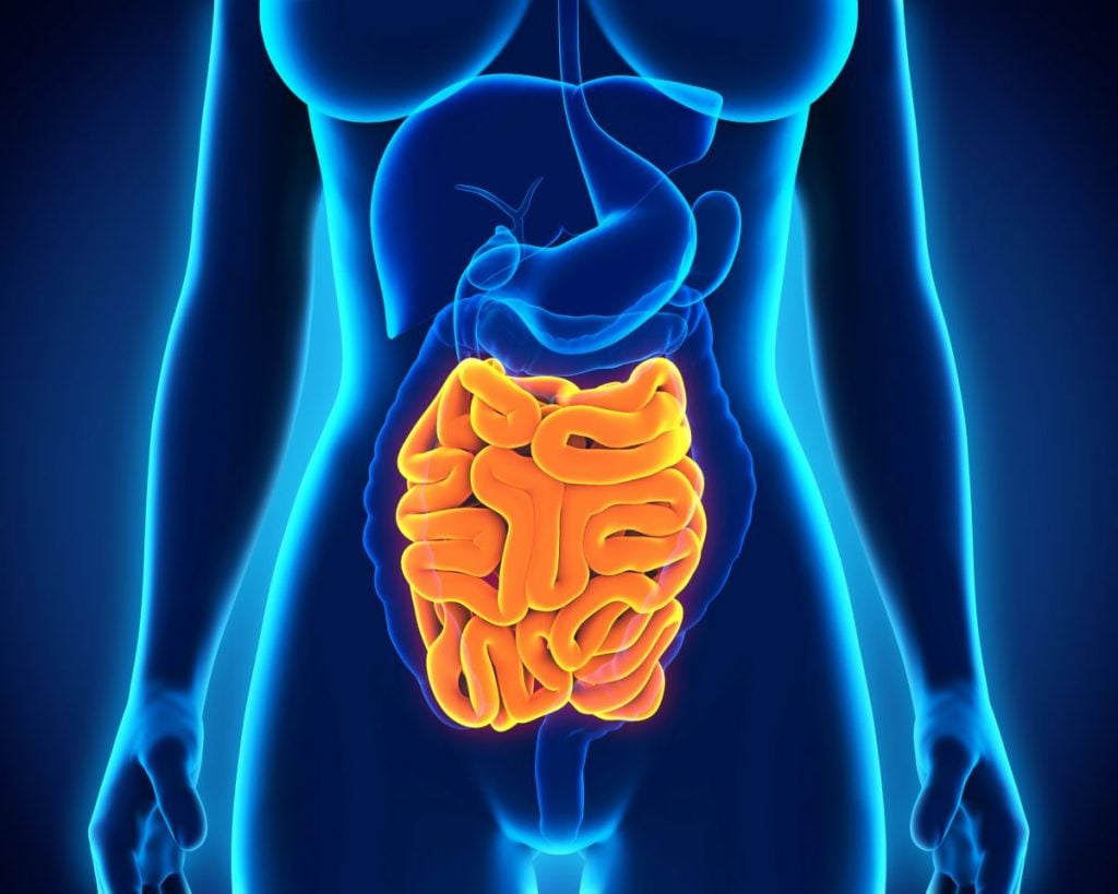 Causes of Lactose Intolerance Facty Health
