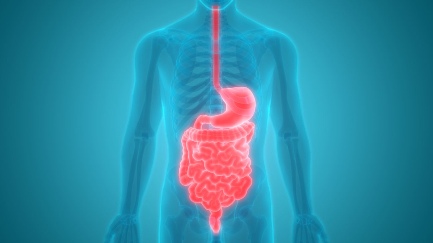 Symptoms and Treatment of Steatorrhea (Fatty Stool) - Facty Health
