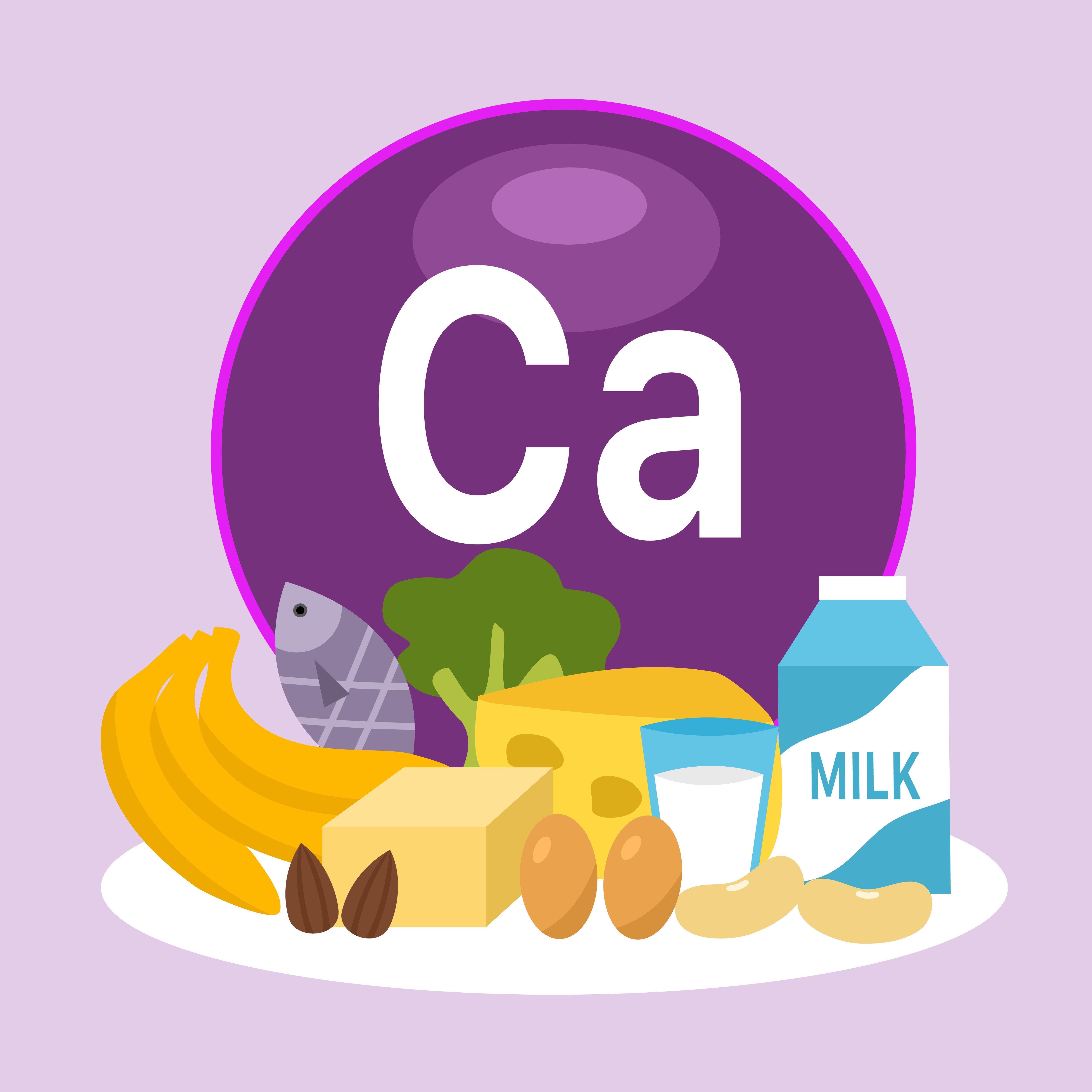 High calcium foods infographic vector illustration