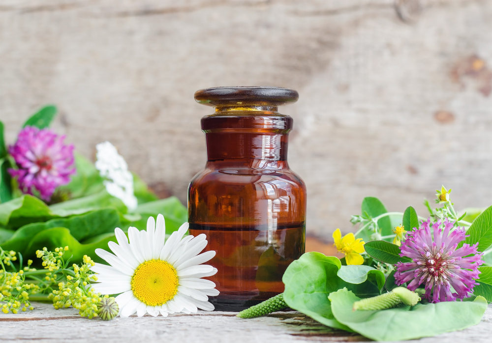 What are the Health Benefits of Bioflavonoids? Facty Health