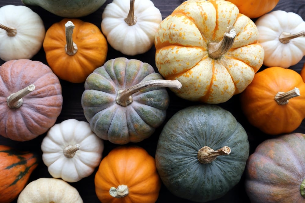 8 Health Benefits of Pumpkin Facty Health