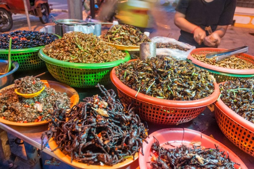 The Practice of Entomophagy Facty Health