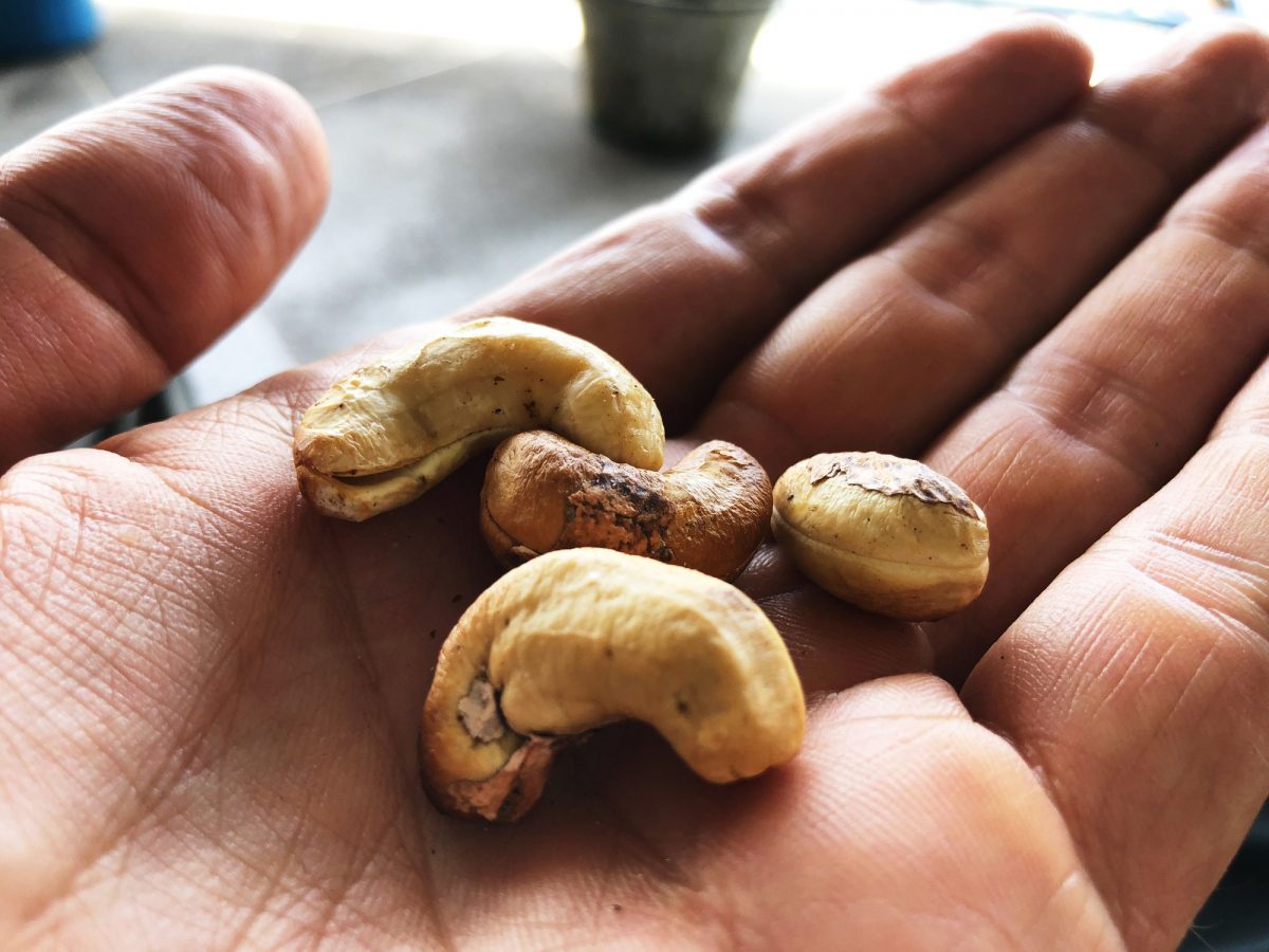 Are Raw Cashews Safe For Dogs To Eat