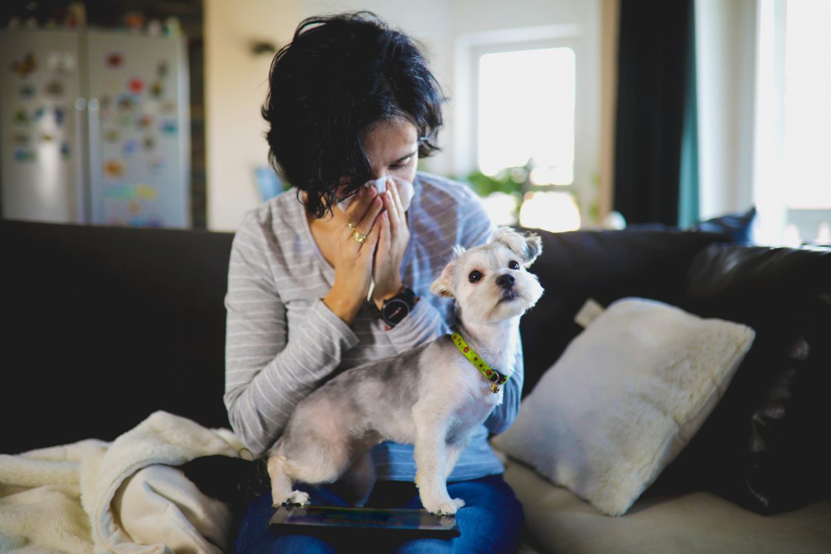 can i give antihistamine to my dog