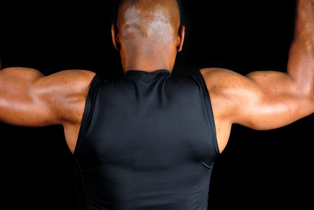 The Shoulder Muscles and Their Movement Facty Health