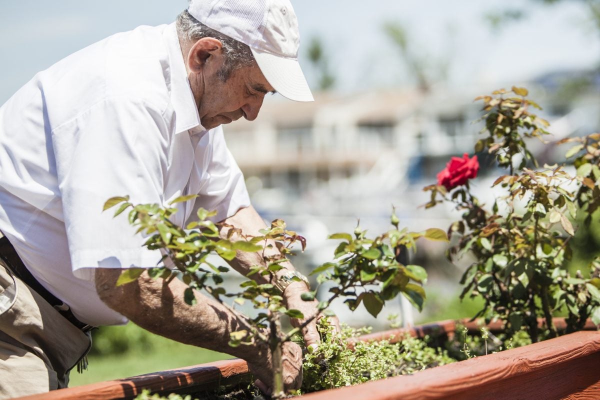 Grover's Disease: A Rare Skin Disorder - Facty Health