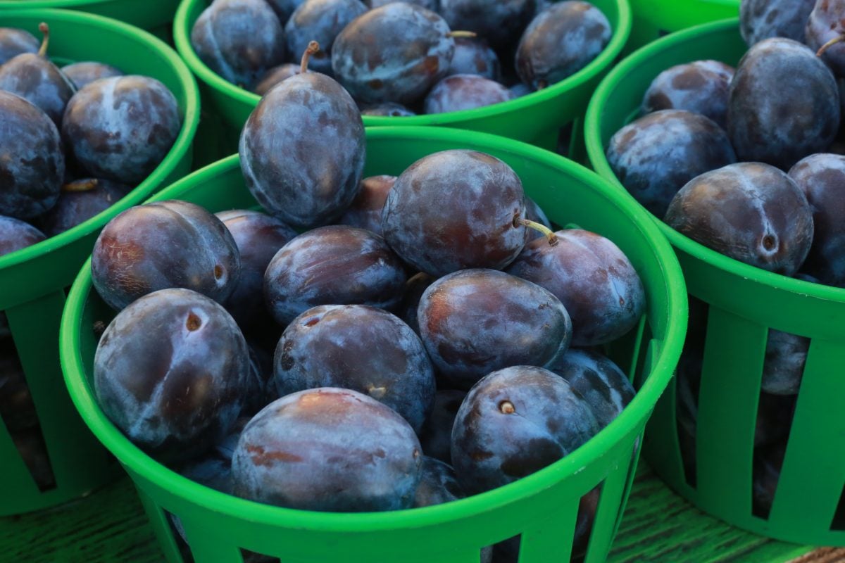 What Are Healthy Carbohydrates? Facty Health