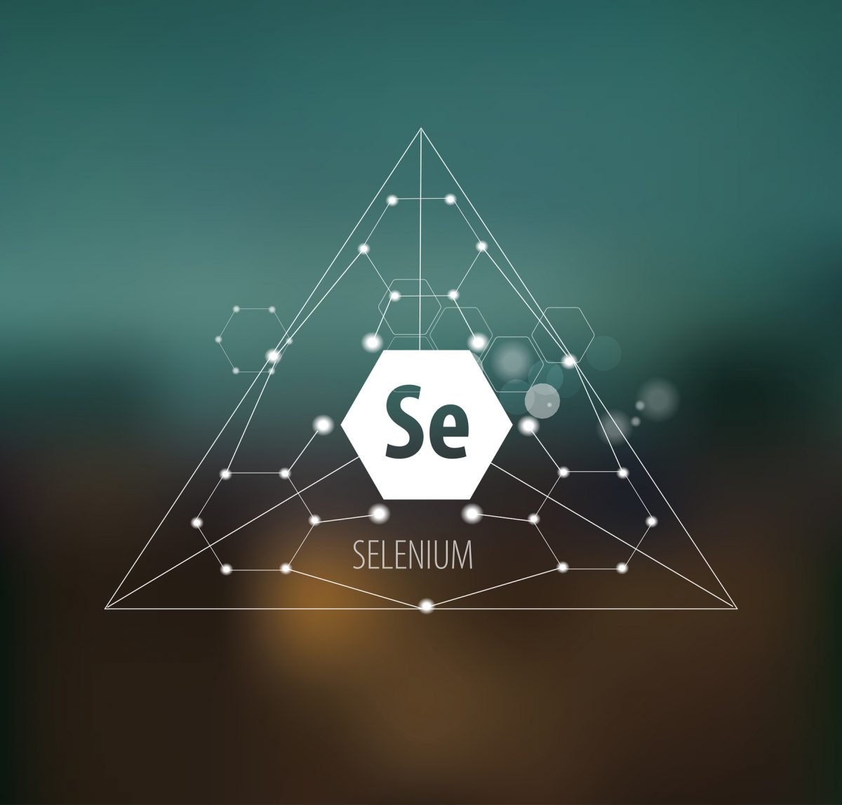 Reasons why Selenium is Important for your Health Facty Health