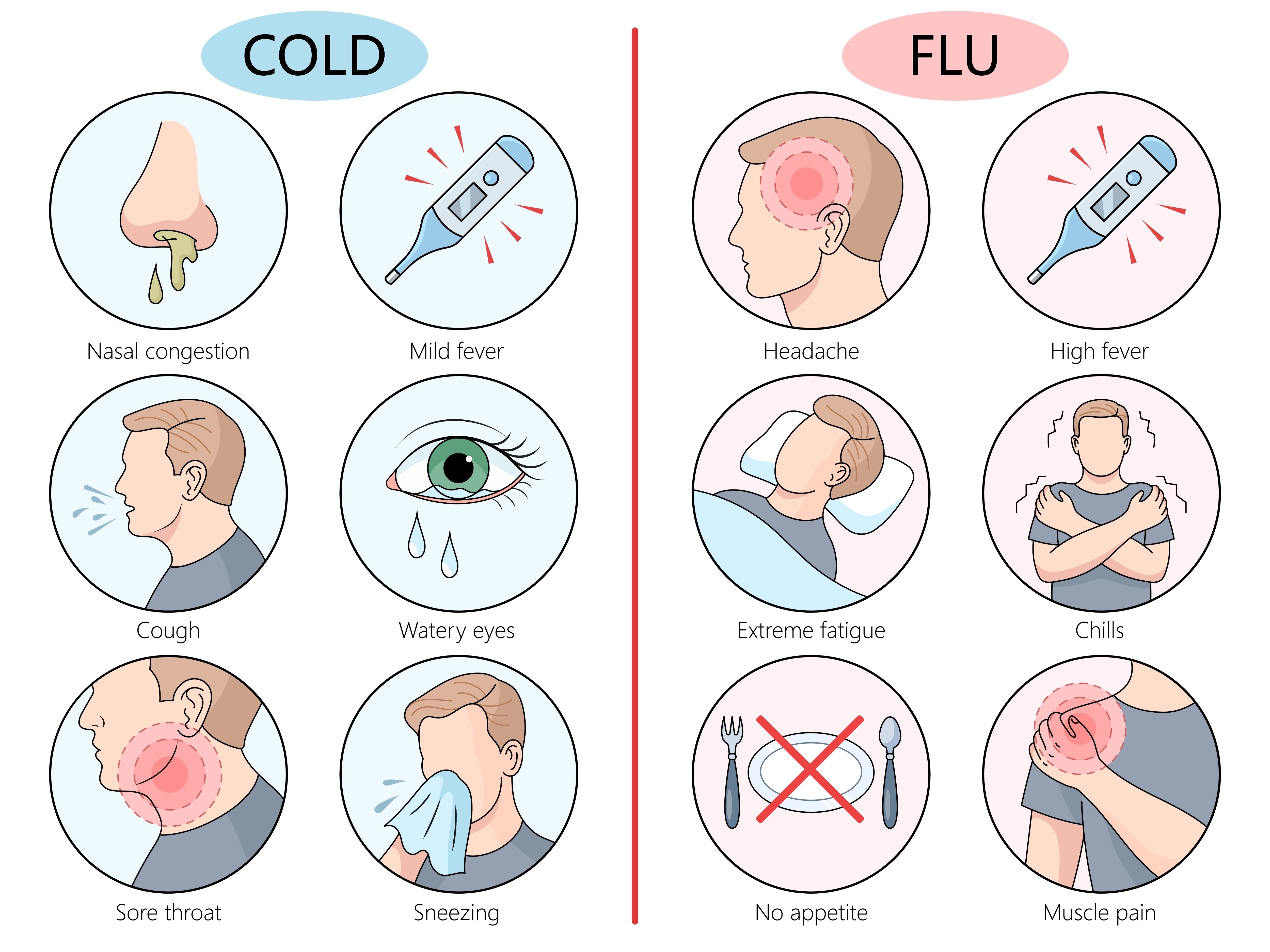 Symptoms of cold and flu, nasal congestion, fever, headache, cough, muscle pain and differences between the two illnesses.
